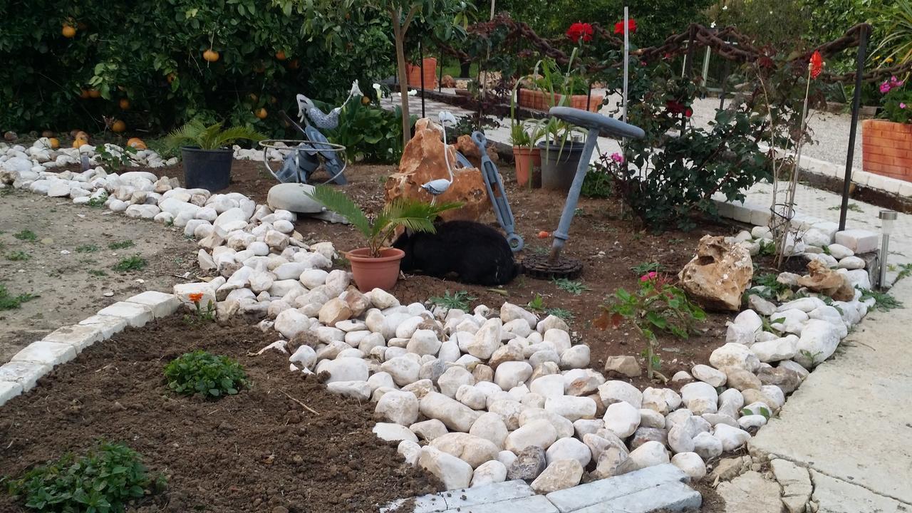 Villa Asbn Magic Garden Acre Exterior foto
