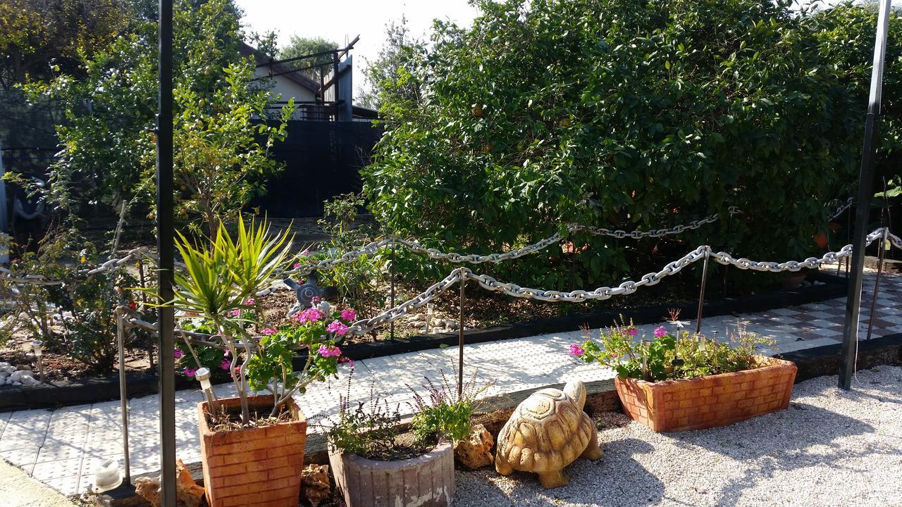 Villa Asbn Magic Garden Acre Exterior foto