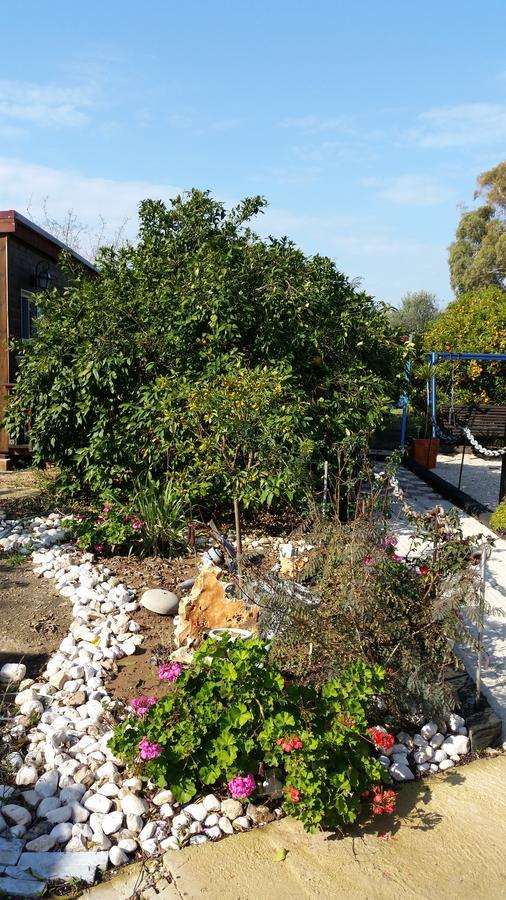 Villa Asbn Magic Garden Acre Exterior foto